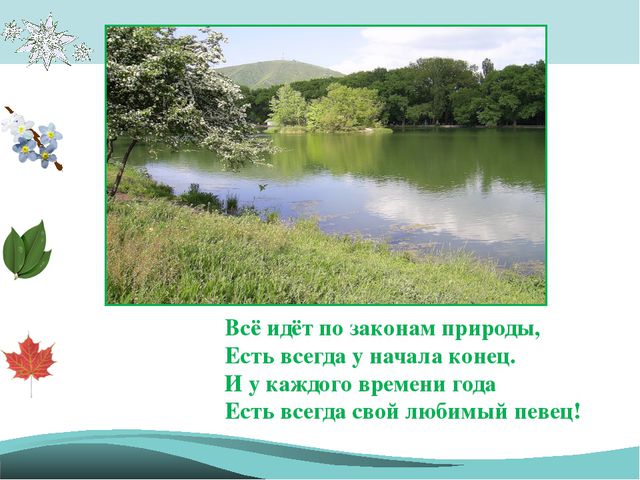 Времена года - законы природы. Презентация для детей подготовительной группы