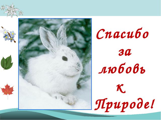 Времена года - законы природы. Презентация для детей подготовительной группы