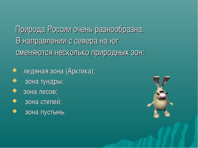 Зона лесов (дошкольное образование)