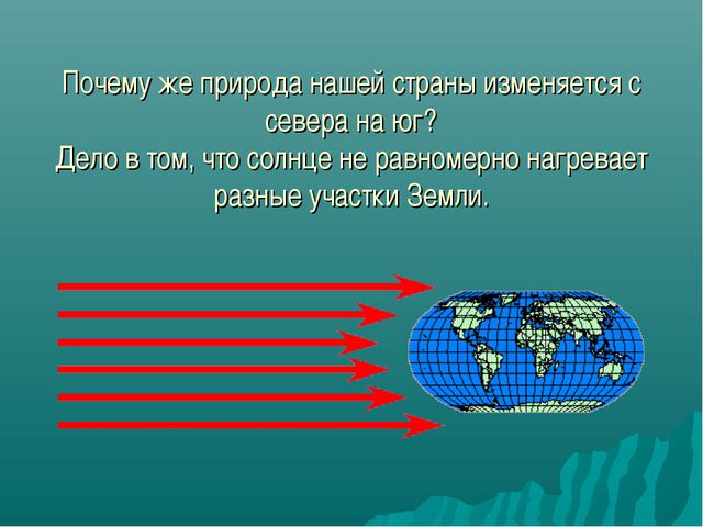 Зона лесов (дошкольное образование)