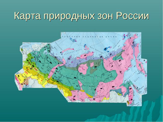 Зона лесов (дошкольное образование)