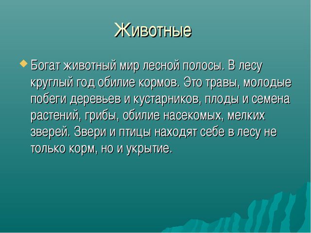 Зона лесов (дошкольное образование)