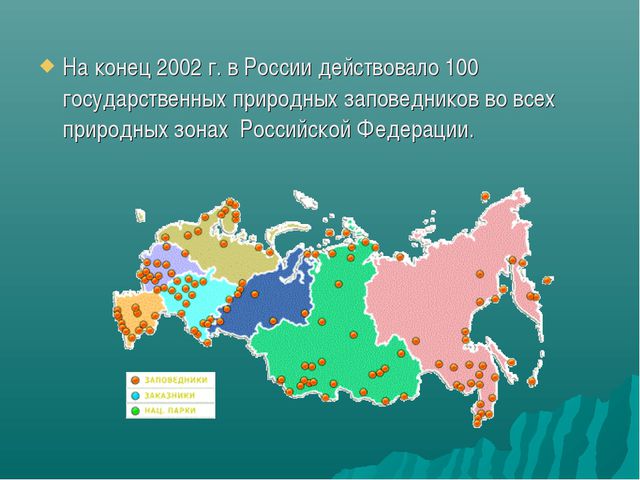 Зона лесов (дошкольное образование)