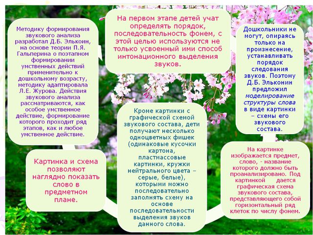 Ознакомление со звуковым строем слова