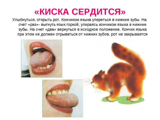 Презентация. Артикуляционная гимнастика