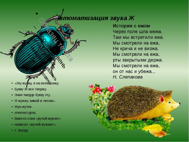 Картотека стихов для автоматизации звуков