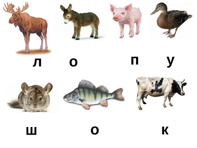 Презентация к занятию по развитию речи детей