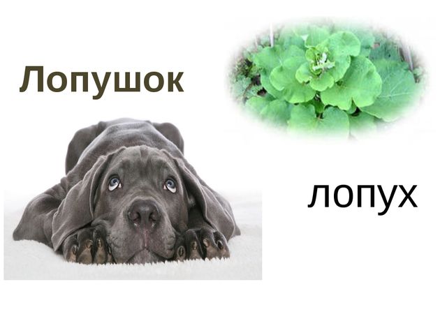 Презентация к занятию по развитию речи детей