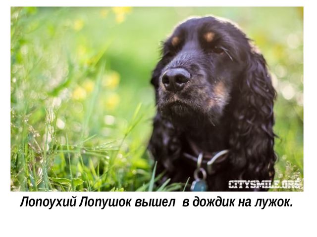 Презентация к занятию по развитию речи детей