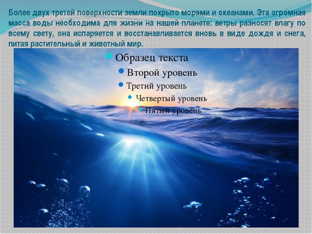 Морские обитатели (для старшего дошкольного возраста) презентация