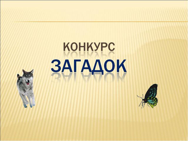 Удивительный мир природы. Презентация для дошкольников