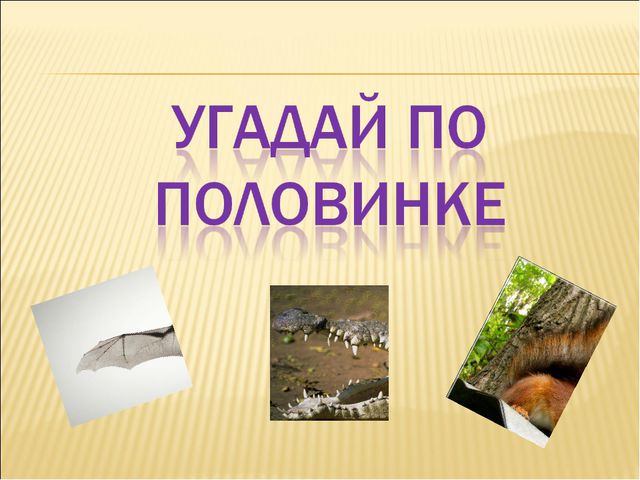 Удивительный мир природы. Презентация для дошкольников