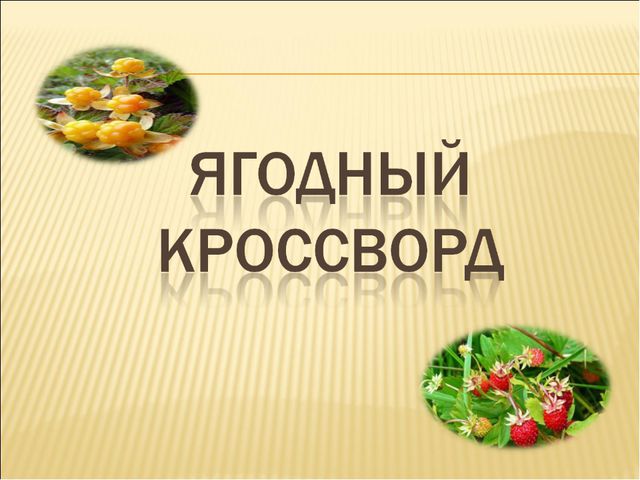 Удивительный мир природы. Презентация для дошкольников