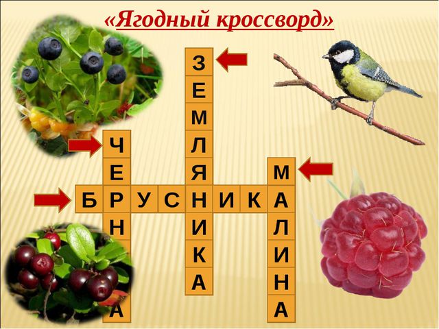 Удивительный мир природы. Презентация для дошкольников