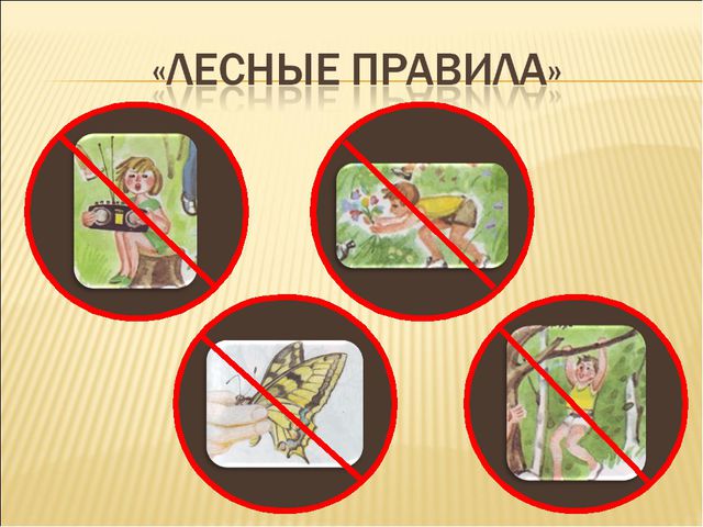 Удивительный мир природы. Презентация для дошкольников