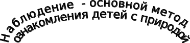Shape1