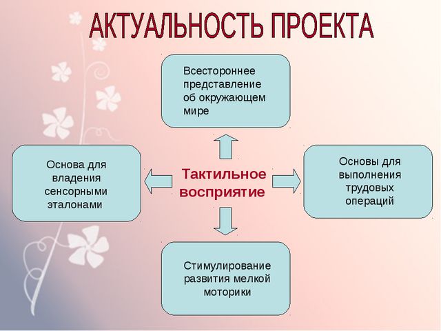 Тактильное восприятие. Тактильная перцепция. Схема восприятия тактильных ощущений. Тактильное восприятие это в психологии.