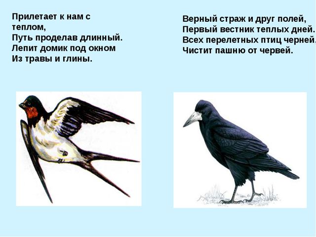 Презентация для подготовительной группы. Весна идёт, весне - дорогу!