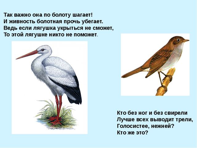 Презентация для подготовительной группы. Весна идёт, весне - дорогу!