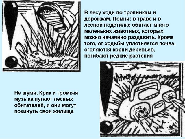 Презентация для подготовительной группы. Весна идёт, весне - дорогу!