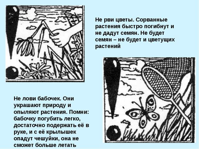 Презентация для подготовительной группы. Весна идёт, весне - дорогу!