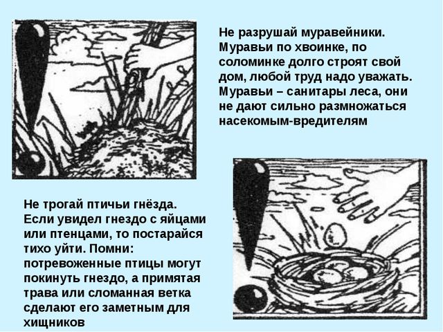 Презентация для подготовительной группы. Весна идёт, весне - дорогу!