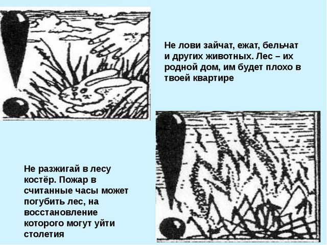 Презентация для подготовительной группы. Весна идёт, весне - дорогу!