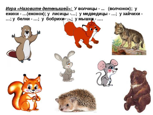 Презентация для подготовительной группы. Весна идёт, весне - дорогу!