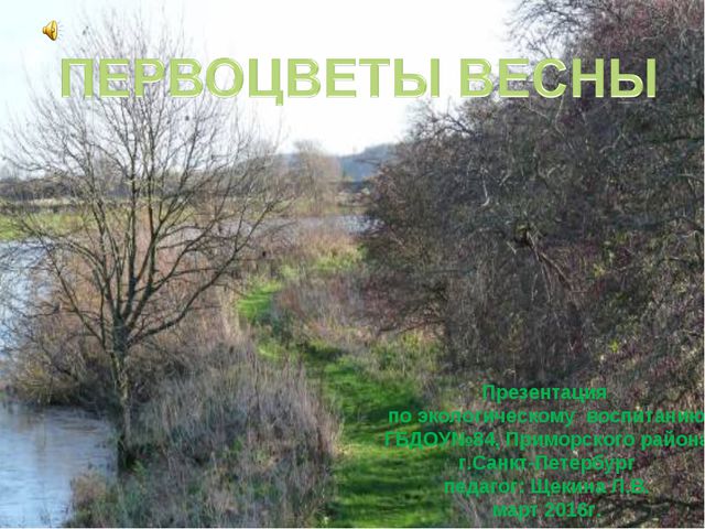 Первоцветы весны. Презентация по ознакомлению дошкольников с природой