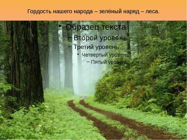 Моя Родина. Презентация для дошкольников