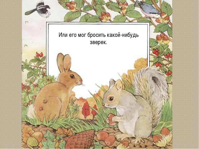 Развитие цветка. Презентация для детей дошкольного возраста