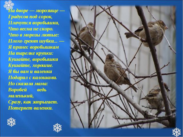 Зимующие птицы. Презентация к познавательной викторине