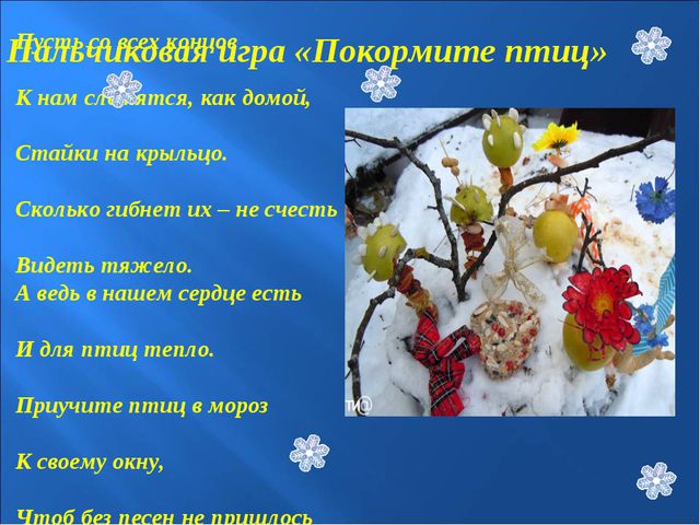 Зимующие птицы. Презентация к познавательной викторине