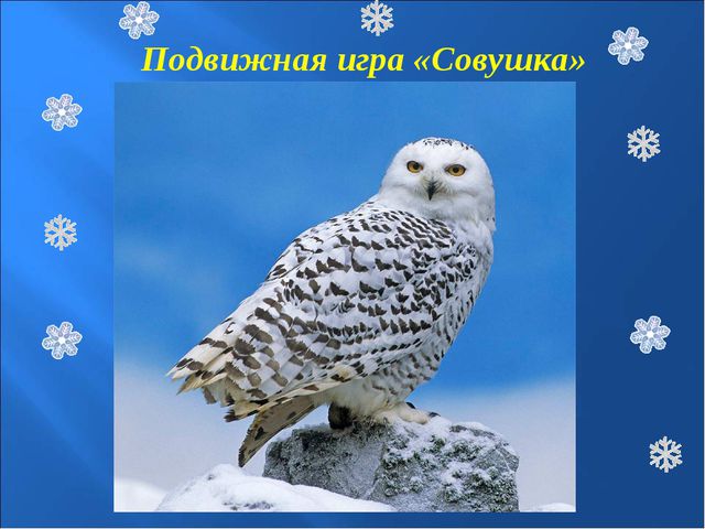Зимующие птицы. Презентация к познавательной викторине
