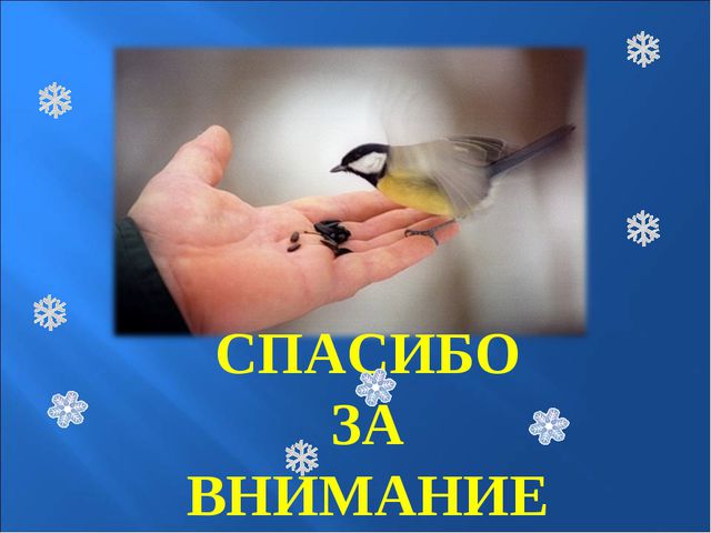 Зимующие птицы. Презентация к познавательной викторине