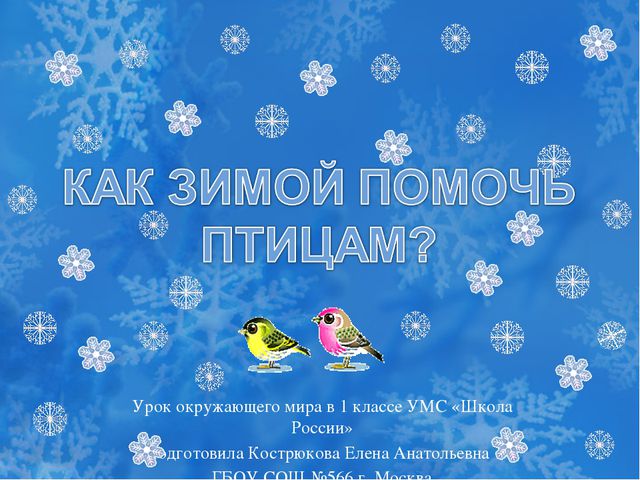 Как помочь птицам зимой? Презентация для дошкольников