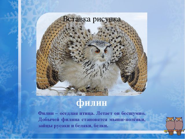 Как помочь птицам зимой? Презентация для дошкольников
