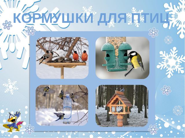 Как помочь птицам зимой? Презентация для дошкольников