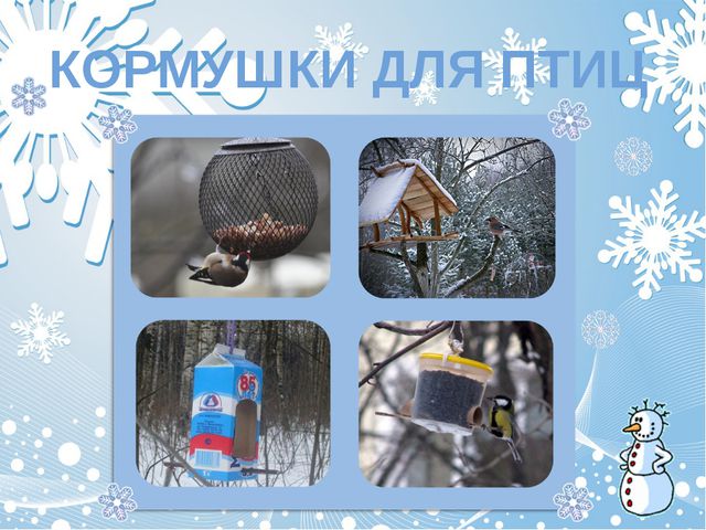 Как помочь птицам зимой? Презентация для дошкольников