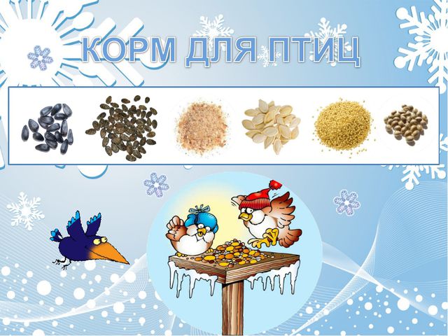 Как помочь птицам зимой? Презентация для дошкольников