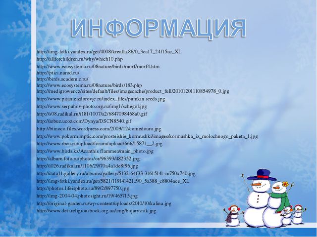 Как помочь птицам зимой? Презентация для дошкольников