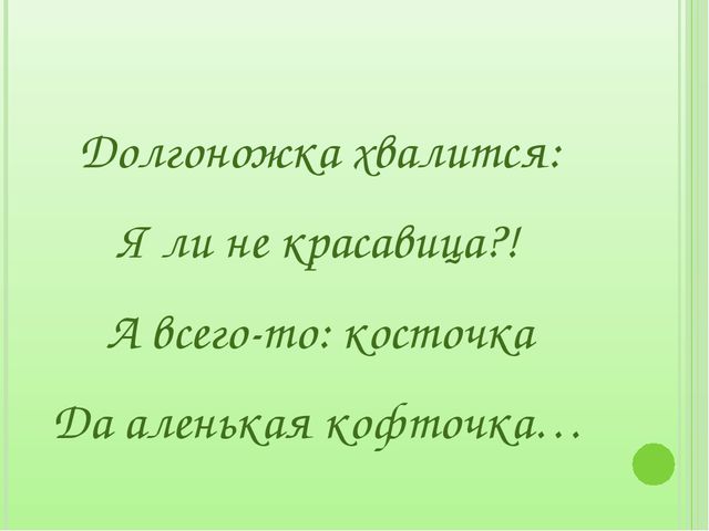 Загадки для дошкольников на занятия по экологическому воспитанию
