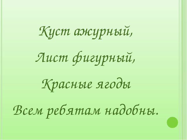 Загадки для дошкольников на занятия по экологическому воспитанию
