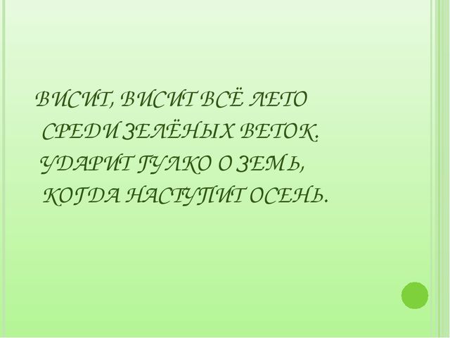 Загадки для дошкольников на занятия по экологическому воспитанию