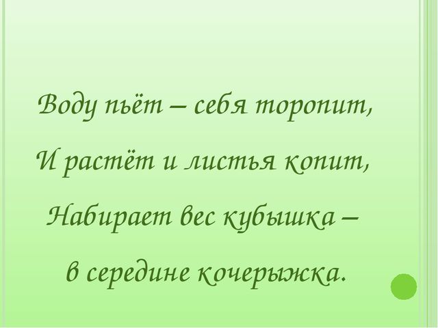 Загадки для дошкольников на занятия по экологическому воспитанию