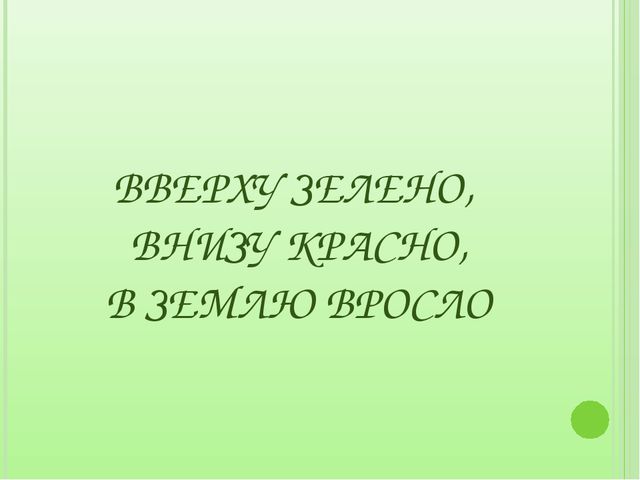 Загадки для дошкольников на занятия по экологическому воспитанию