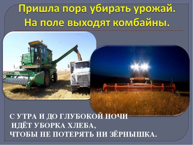 Путь хлеба. Презентация для дошкольников