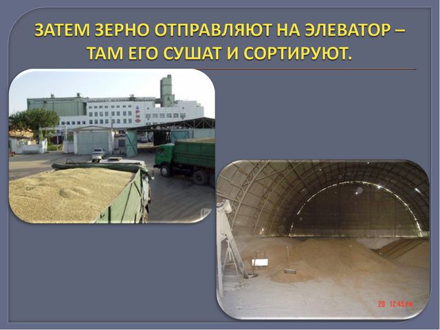 Путь хлеба. Презентация для дошкольников