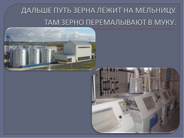 Путь хлеба. Презентация для дошкольников