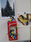 Picture 15